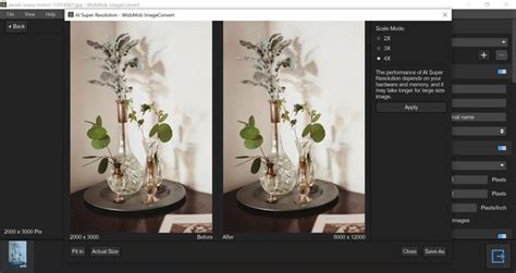 mega pixel increaser|Increase Resolution of Image Online ( Free & Instant).